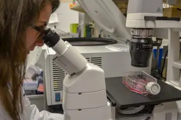 Lab member viewing a sample through a microscope