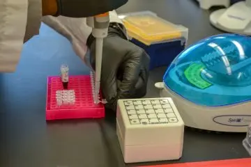 Up close view of a lab member pipetting samples at a lab bench