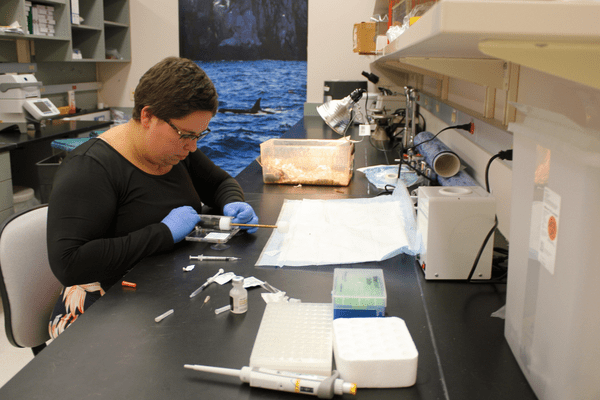 Rose Odom in the Wells Center's Kidney and Urology Lab