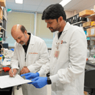 Reuben Kapur and Santhosh Pasupuleti working in the lab.