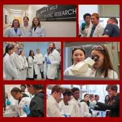 Collage of photos from the Wells Center's 2025 MMIA program