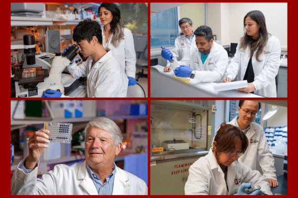 Collage of 4 photos - L to R: Sanam Rezaei Benam and Xuepeng Wang; Baohua Zhou, Naresh Singh and Samantha Sharma; Mark Kelley; Jing Yang and Kai Yang