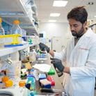 Technician Prudhvi Terli working in a diabetes research lab.
