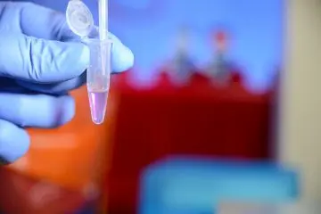 A close up shot of a gloved hand preparing a research sample