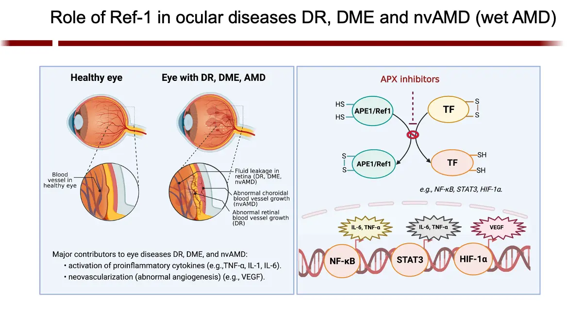 Scientific graphic showing research findings from Mark Kelley, MS, PhD