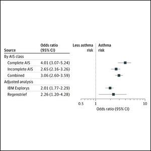 Figure of Loss of Androgen Receptor (AR) in Humans and Asthma Risk