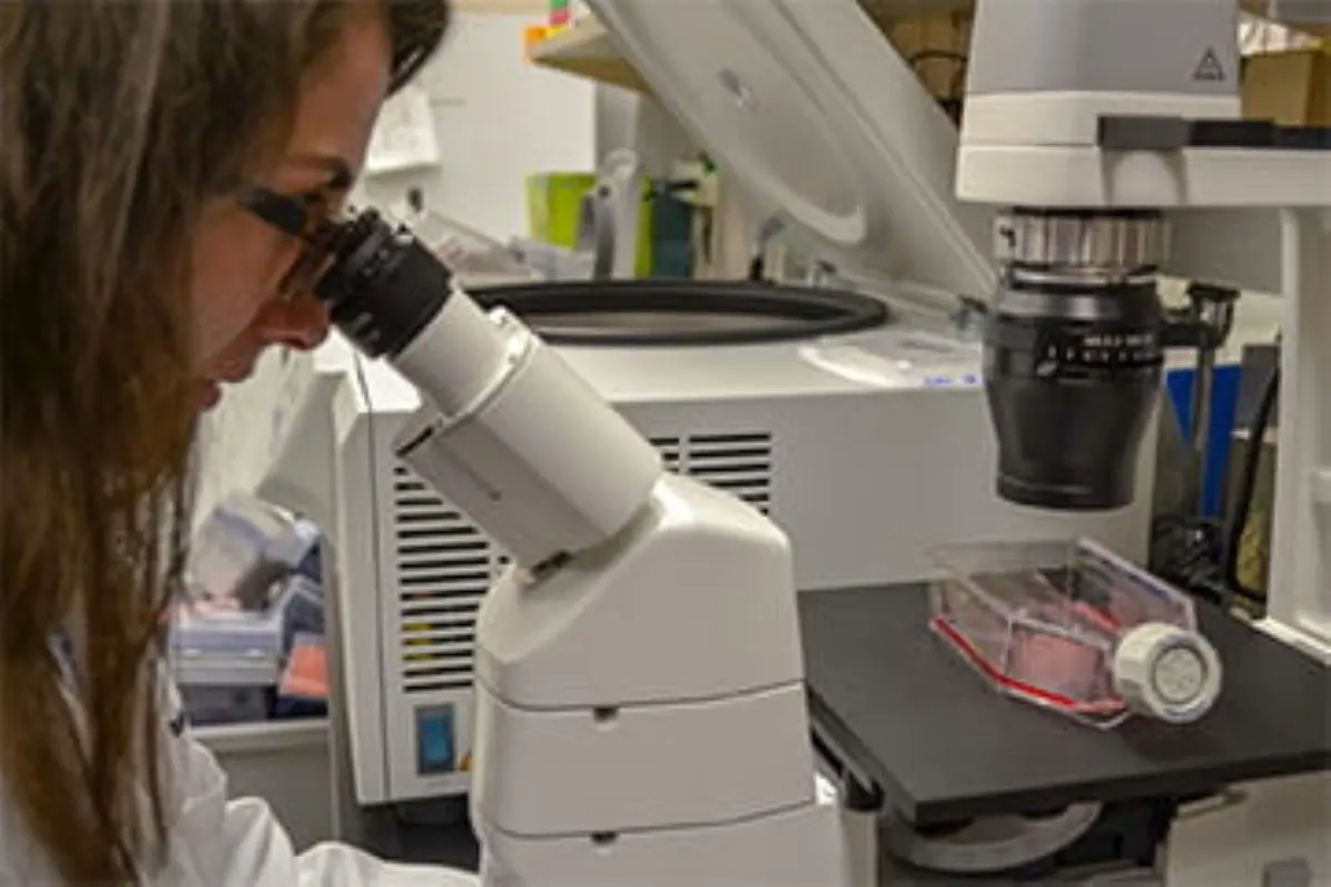 Lab technician viewing through microscope