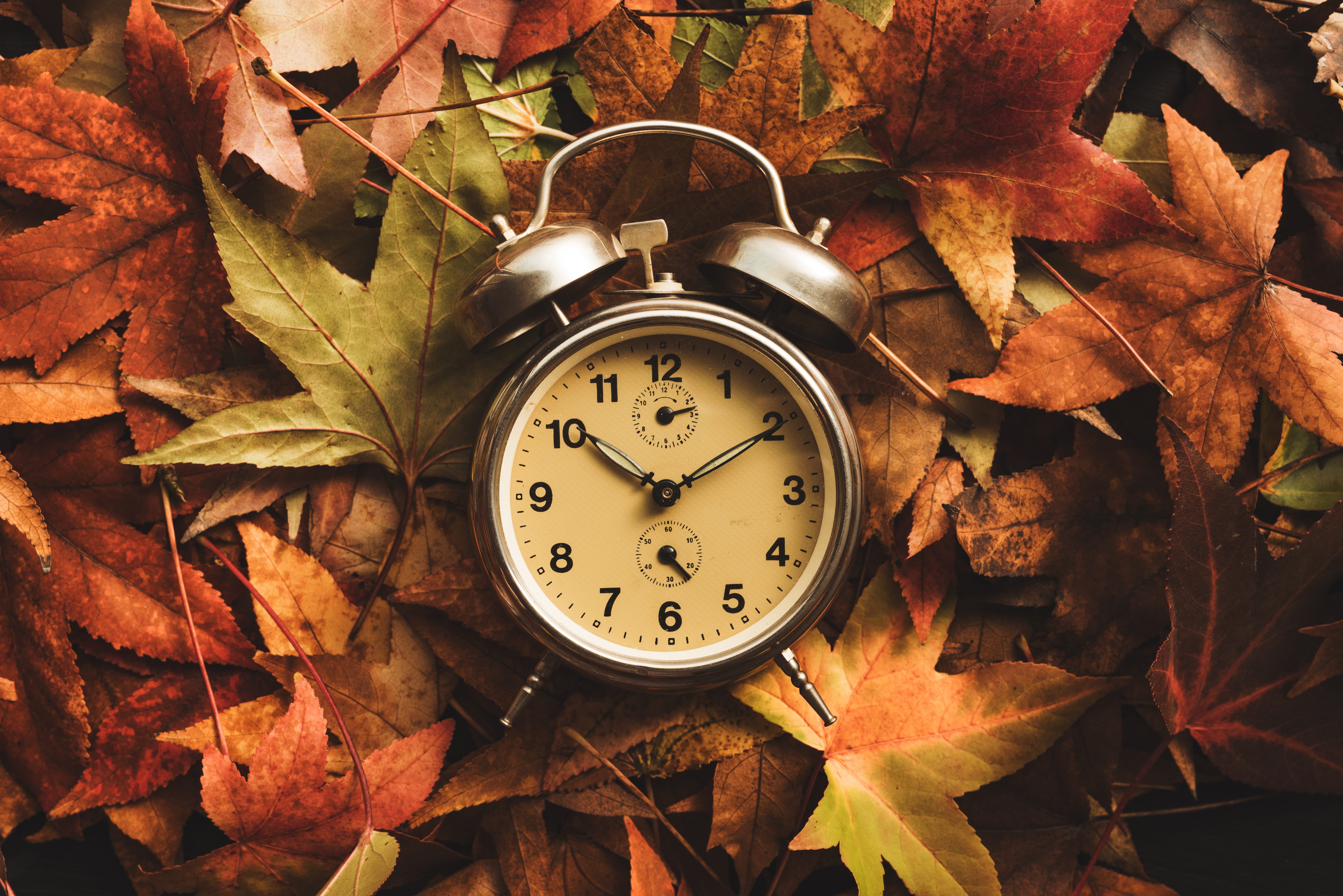 picture of an analog clock in the middle of fall leaves