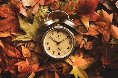 picture of an analog clock in the middle of fall leaves