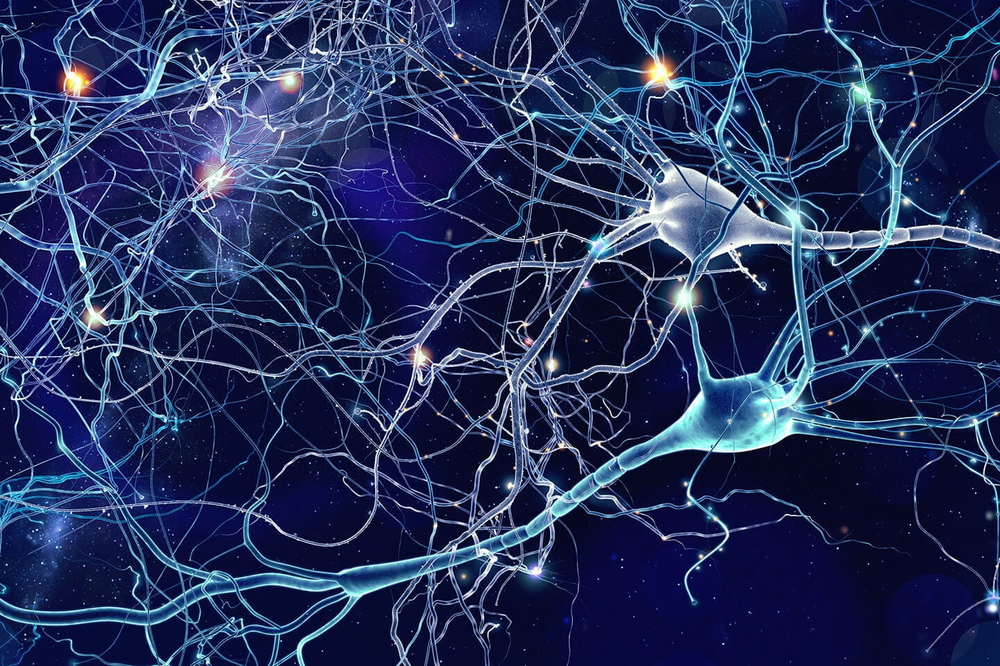 a web of nerves