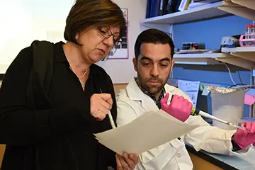 Faculty