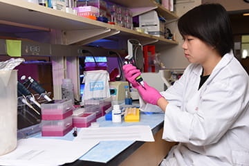 PhD Programs