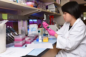PhD Programs