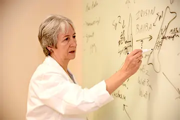 Musculoskeletal Research