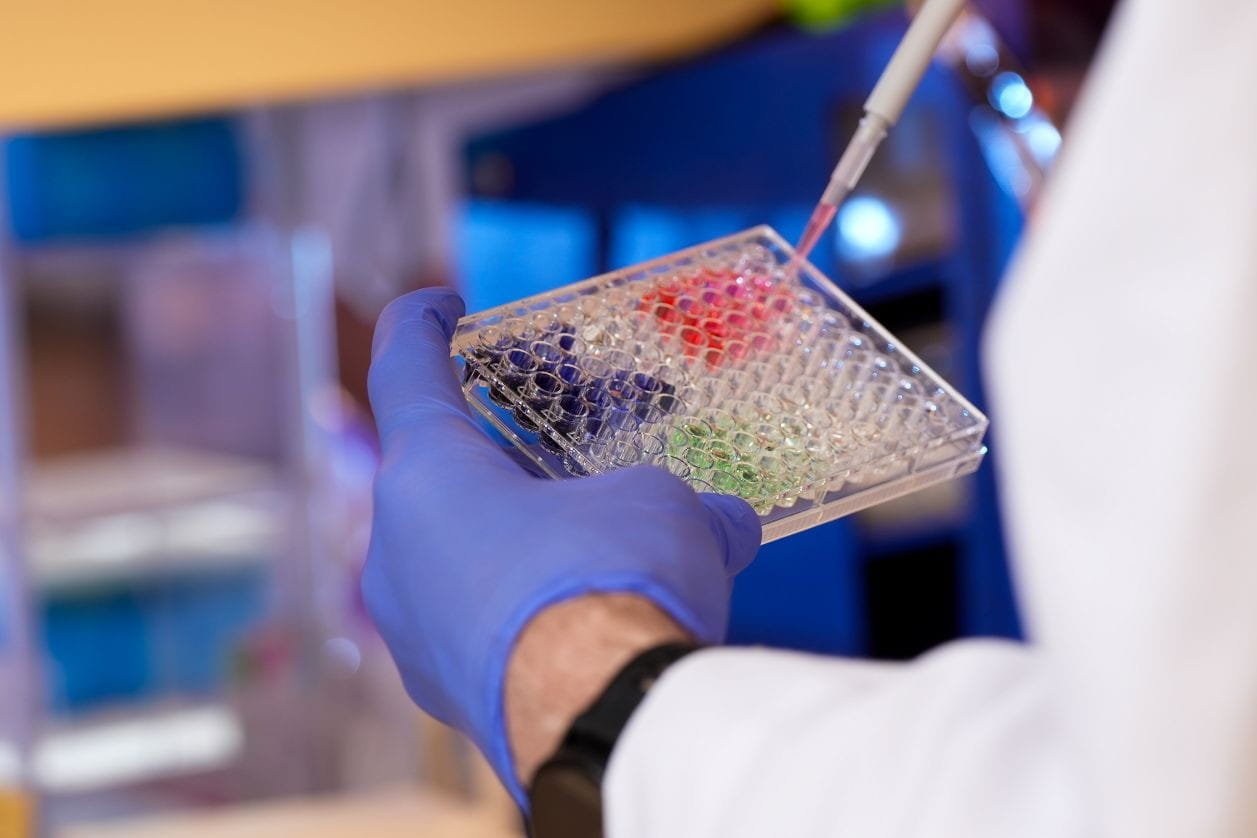 A close up shot of gloved hands preparing a grid of blue and red lab samples with a pipette.