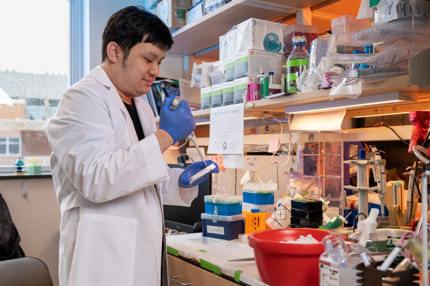 A researcher in a lab coat and gloves uses a pipette to prepare an experiment in the lab.