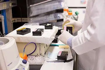 Alves Lab