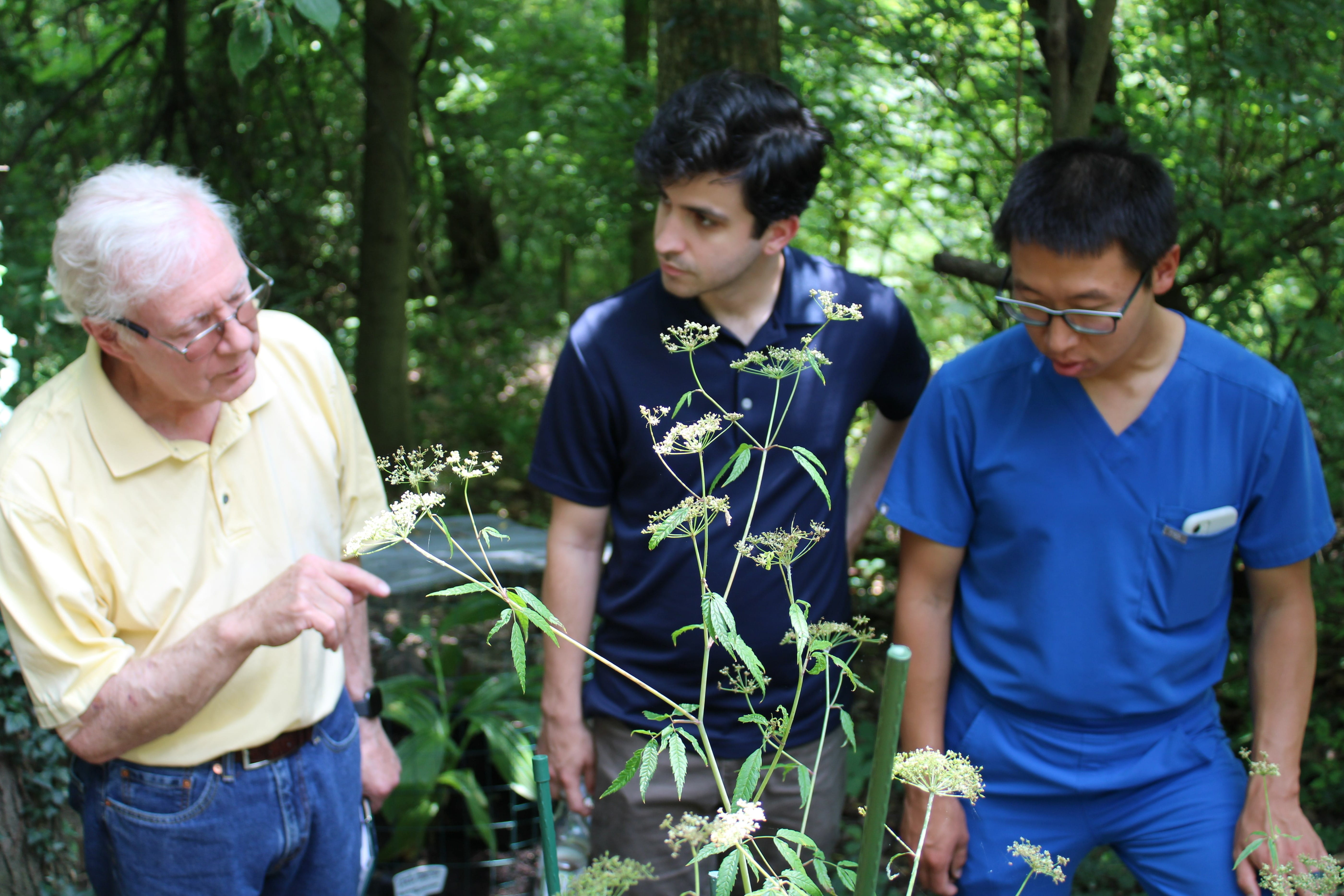 Faculty teaching two fellows about the toxicity of a plant. 