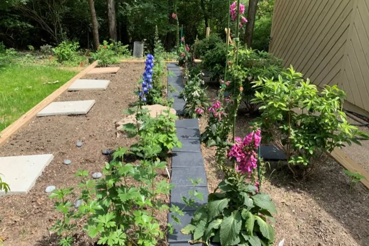 plants in the toxicology garden