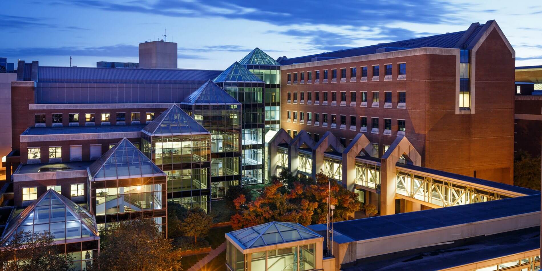 school of medicine buildings on the IU Indianapolis campus are lit up at night