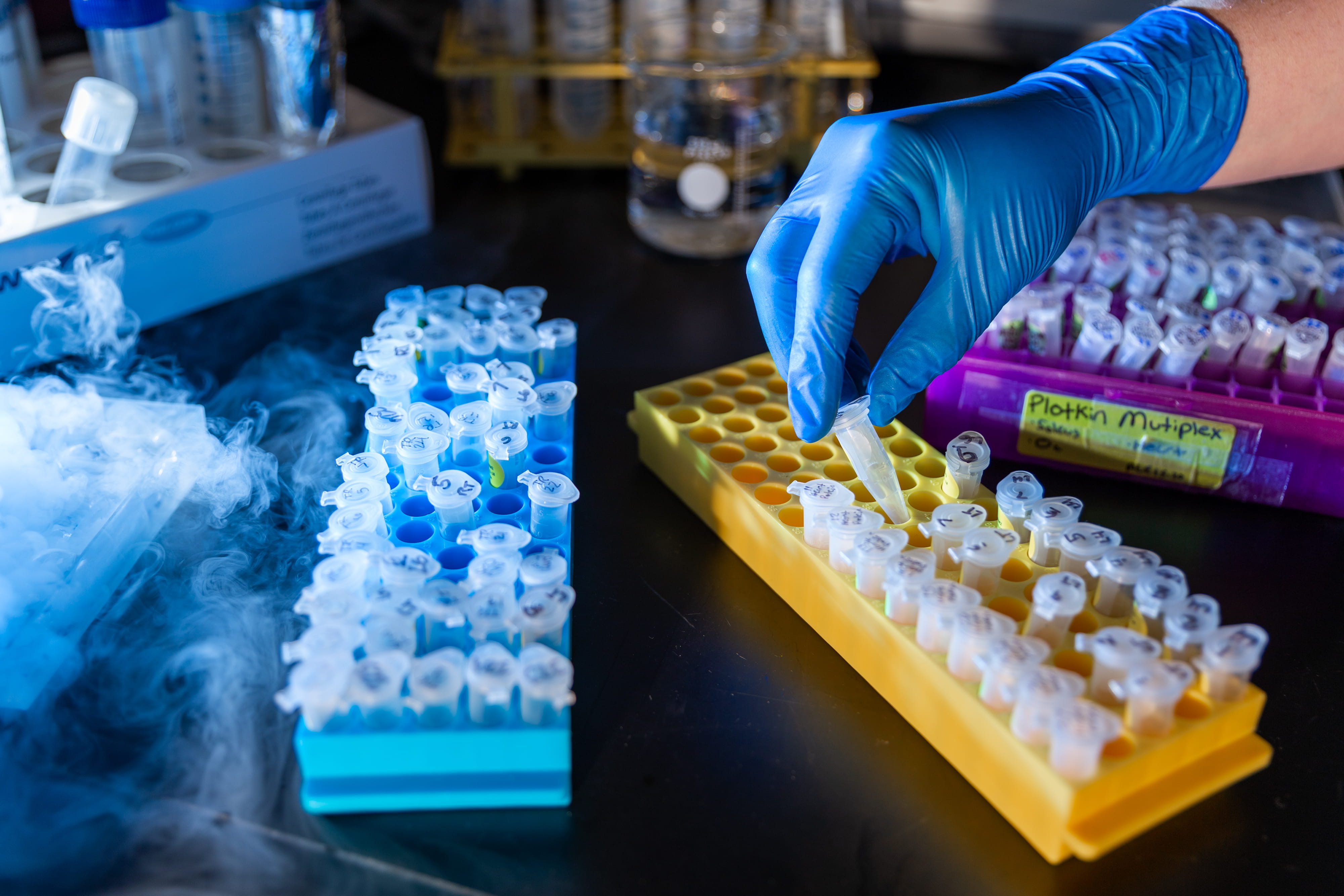 A gloved hand prepares samples in the lab