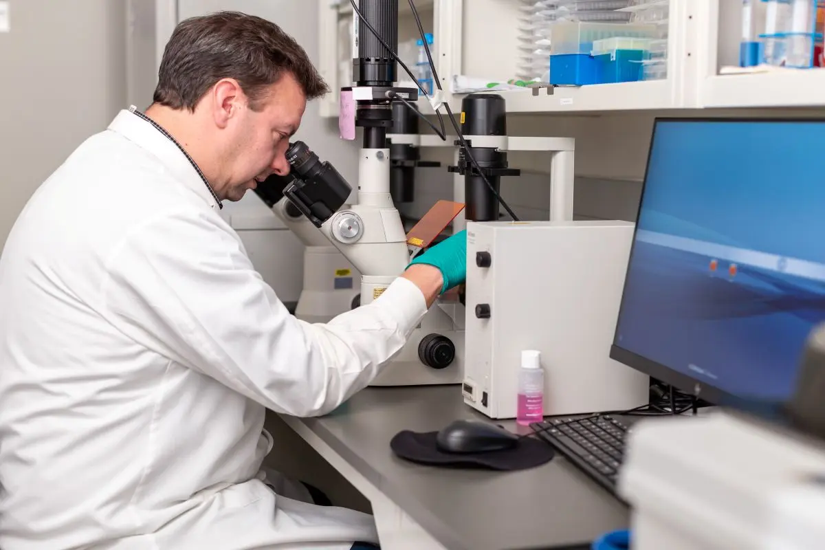 Jason Meyer using a microscope to view a lab culture