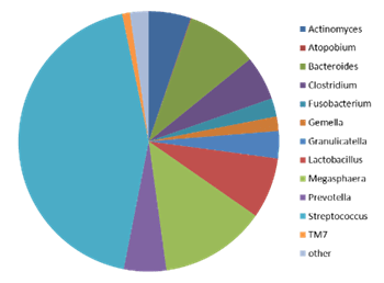 Pie Chart Showing Small Intestinal Bacterial Overgrowth Data