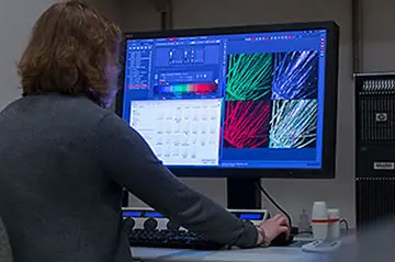 A researcher reviews data visualizations on a computer monitor