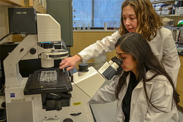 two researchers work together in the lab