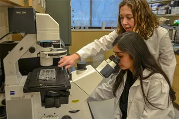two researchers work together in the lab