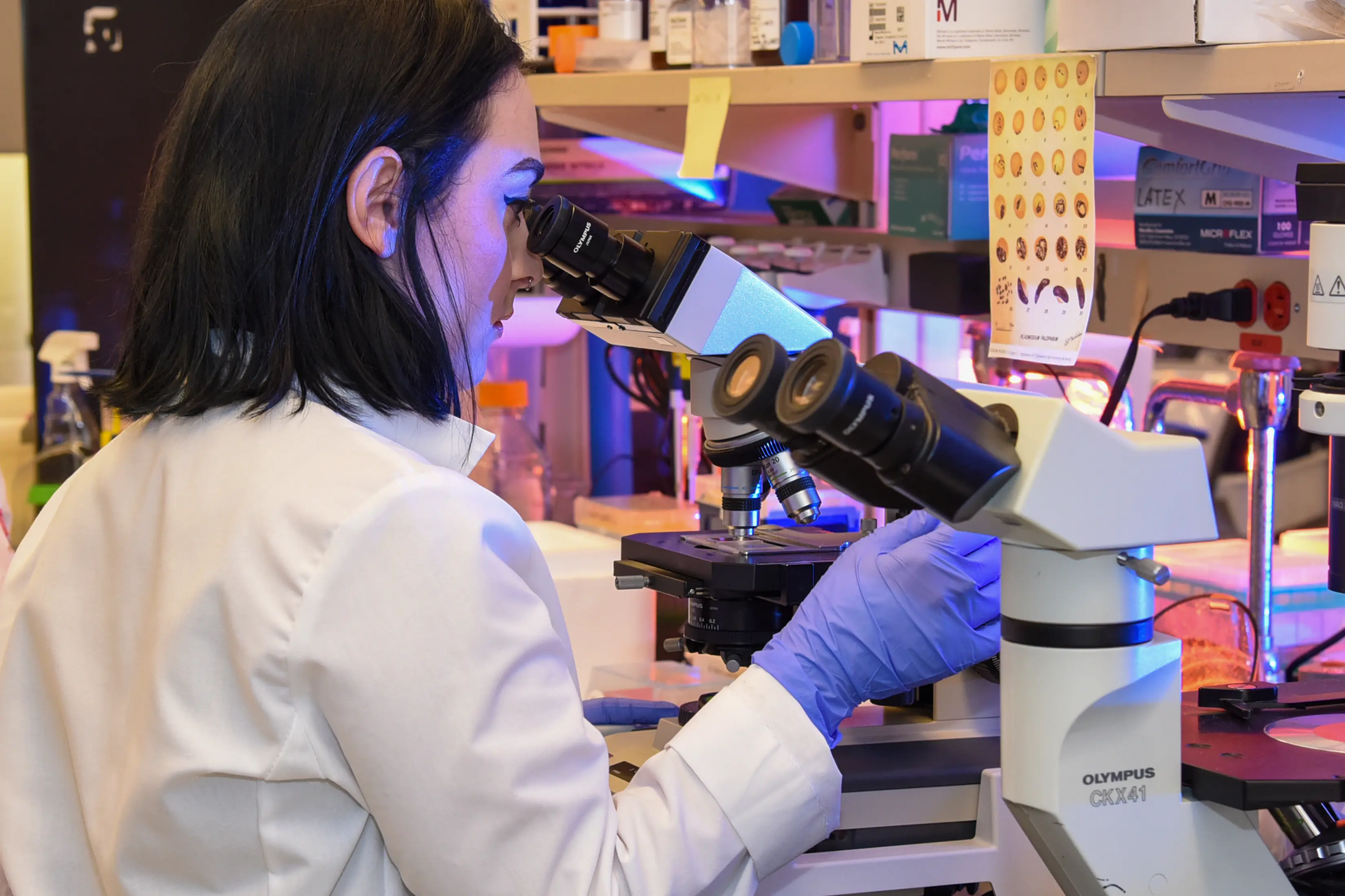 A female researcher looks into a microscope in a lab.