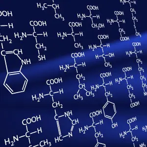 amino acid structures