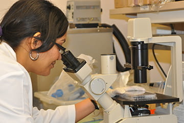 a research looks into a microscope