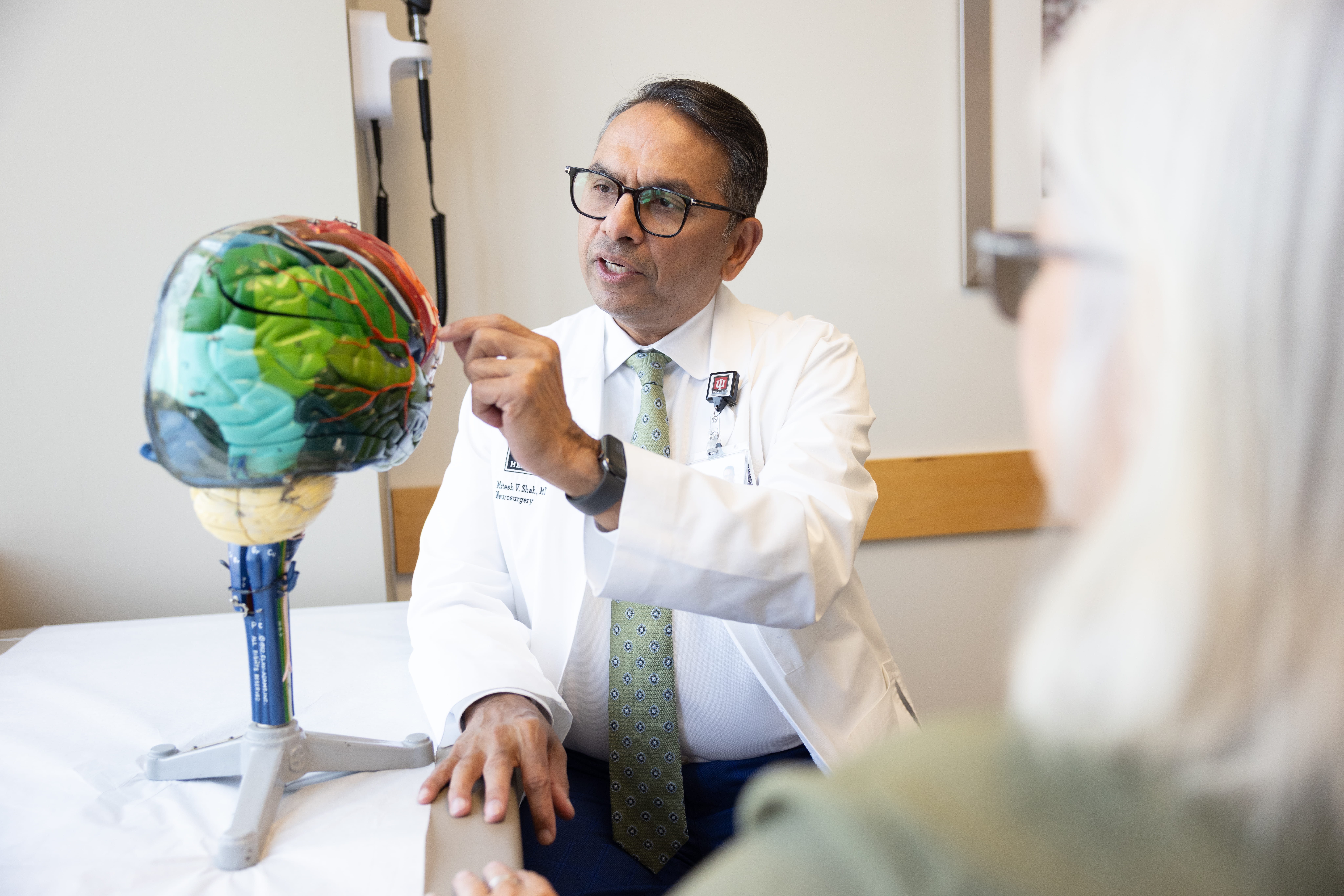 A doctor shows a brain model to a patient in clinic