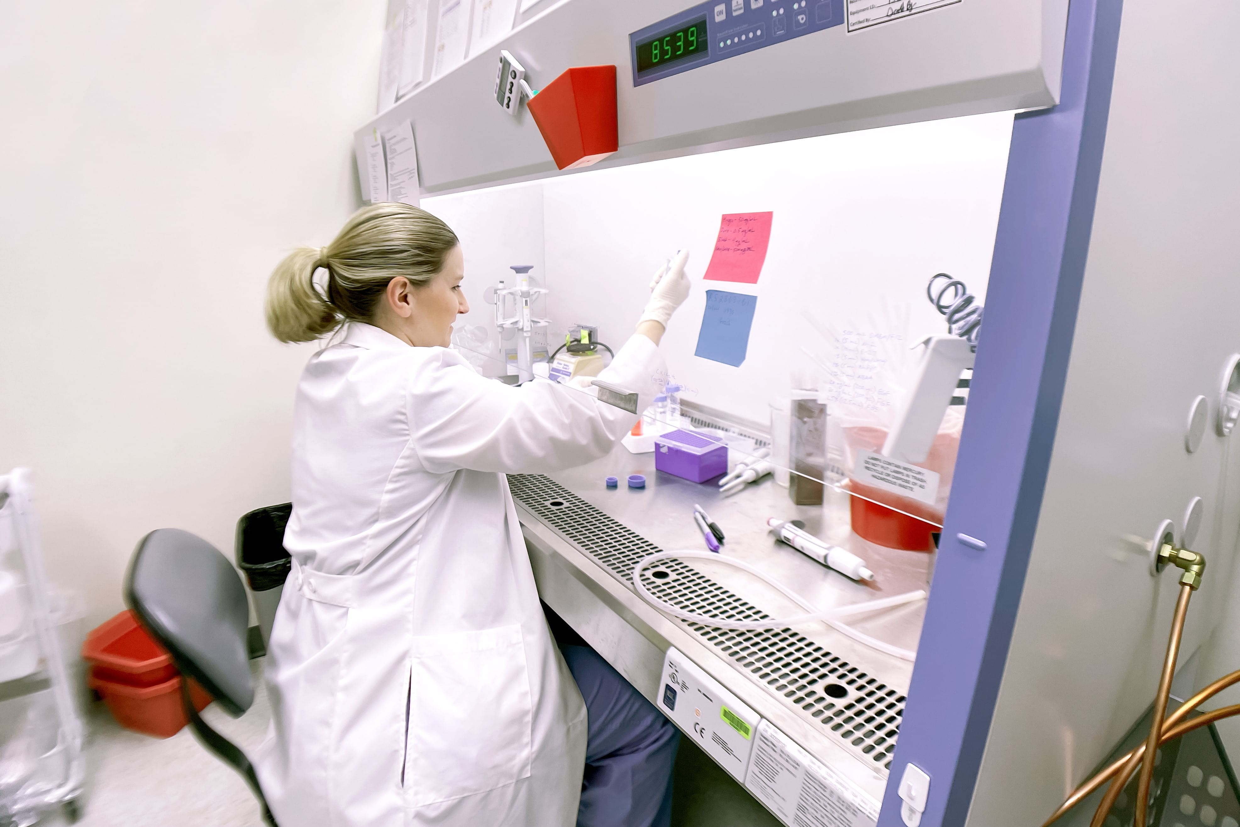 a researcher conducts an experiment in her lab