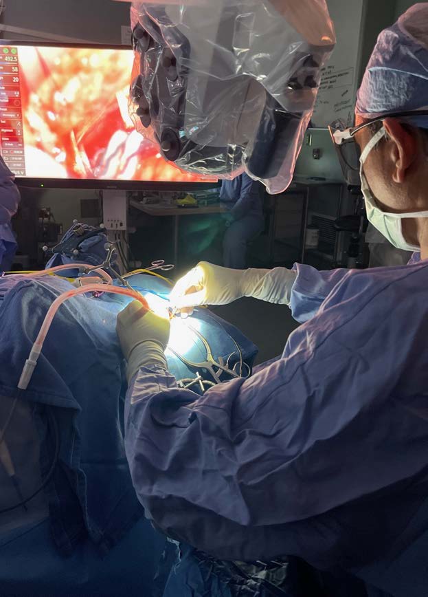 a surgeon performs surgery