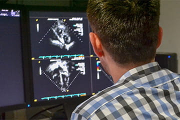 a researcher looks a computer screen