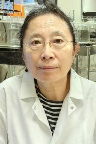 a headshot of Yihong Zhang