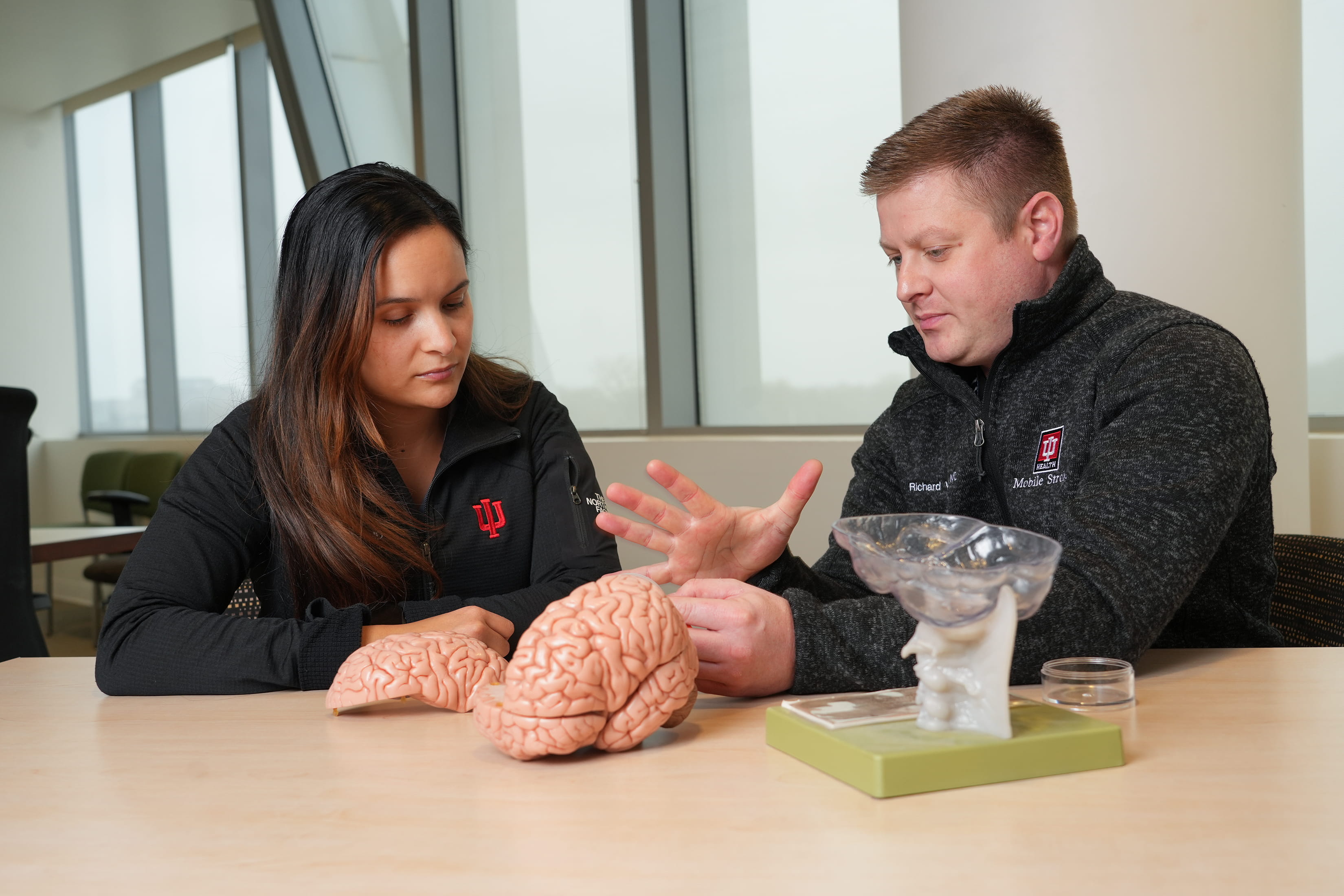 two neurologists examen a replica of a brain
