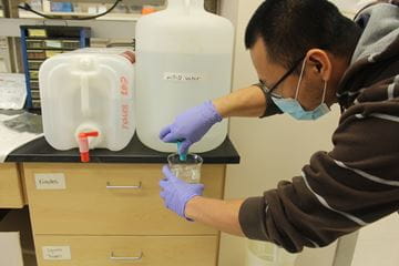 A researcher works in the Greenfield Lab