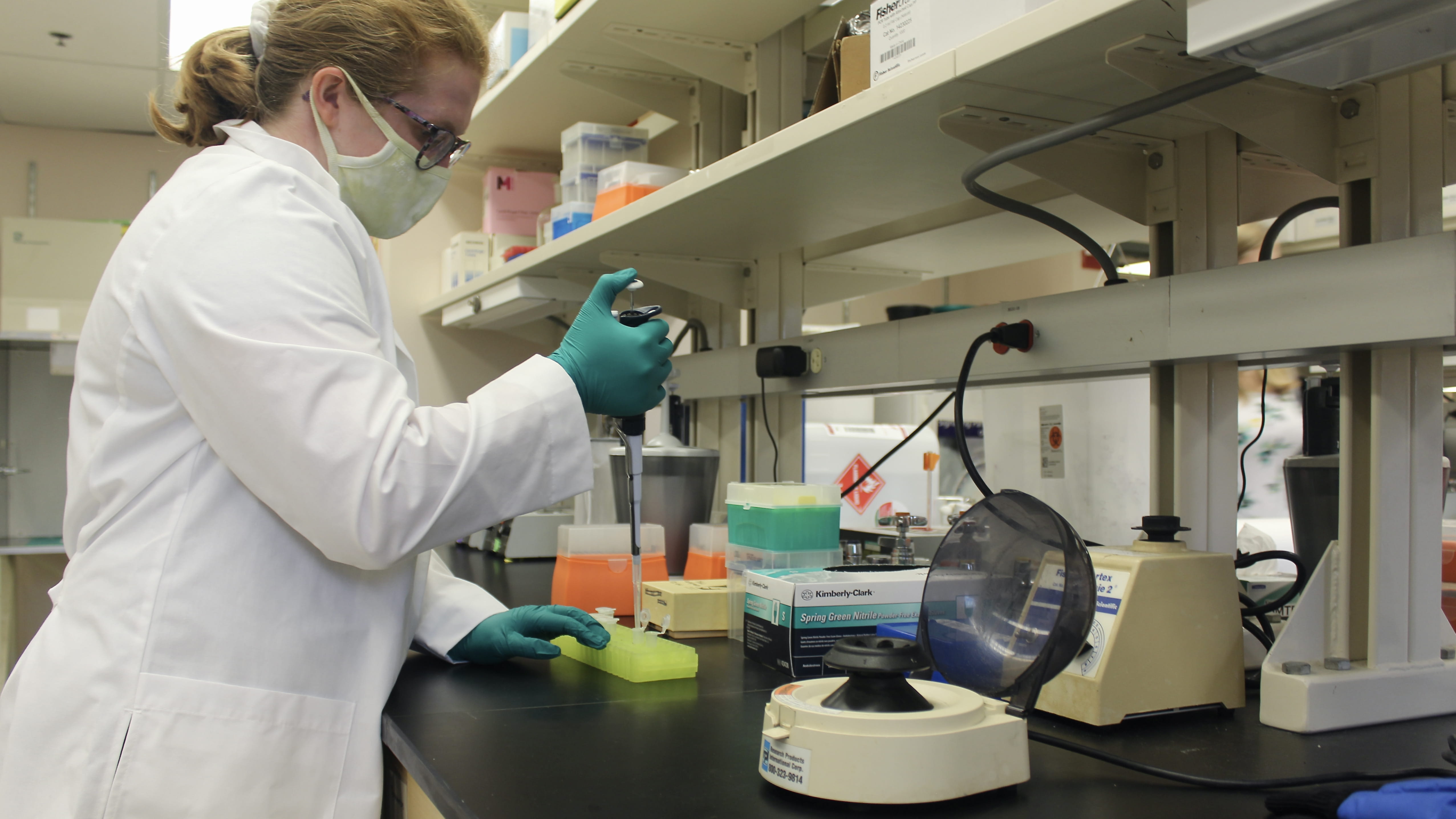 A female researcher works in the Greenfield Lab.