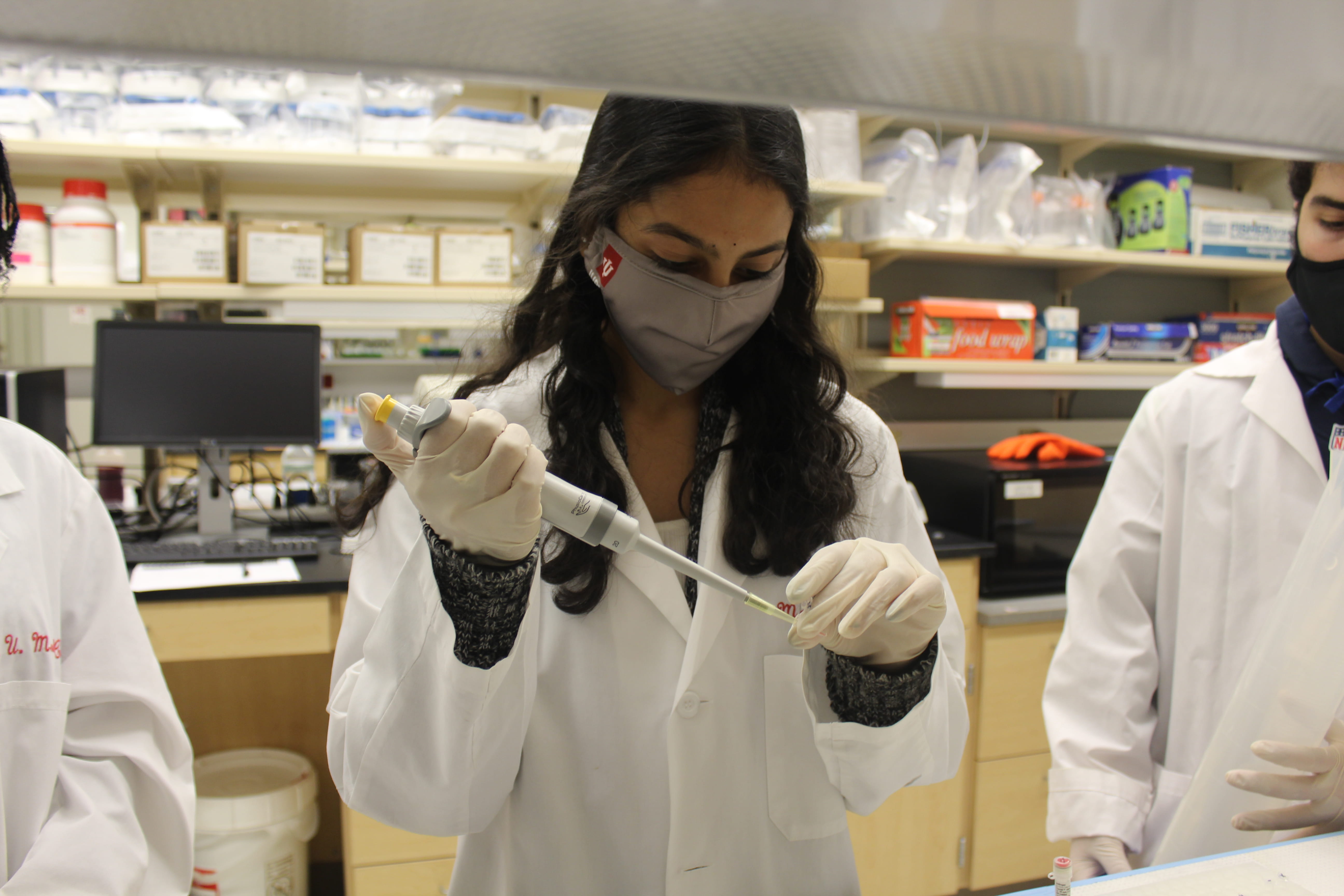 A female researcher works in the Kacena Lab