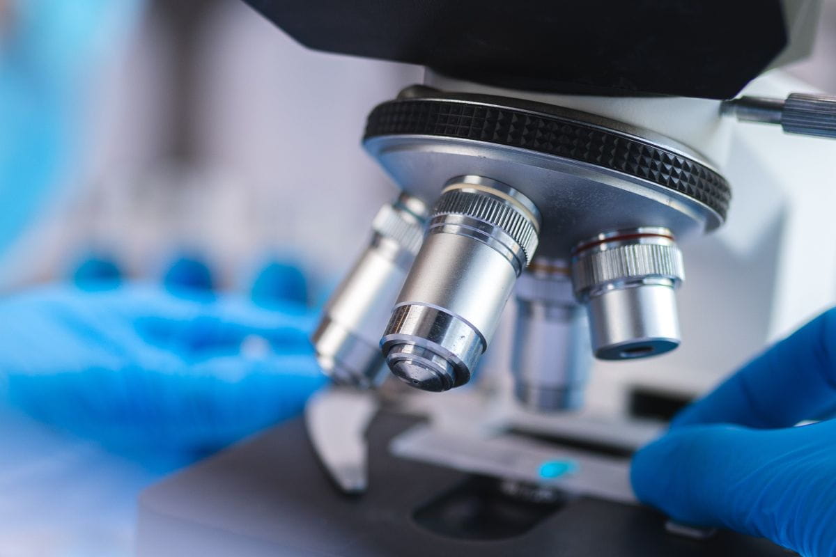 Hands in blue gloves placing slide under microscope