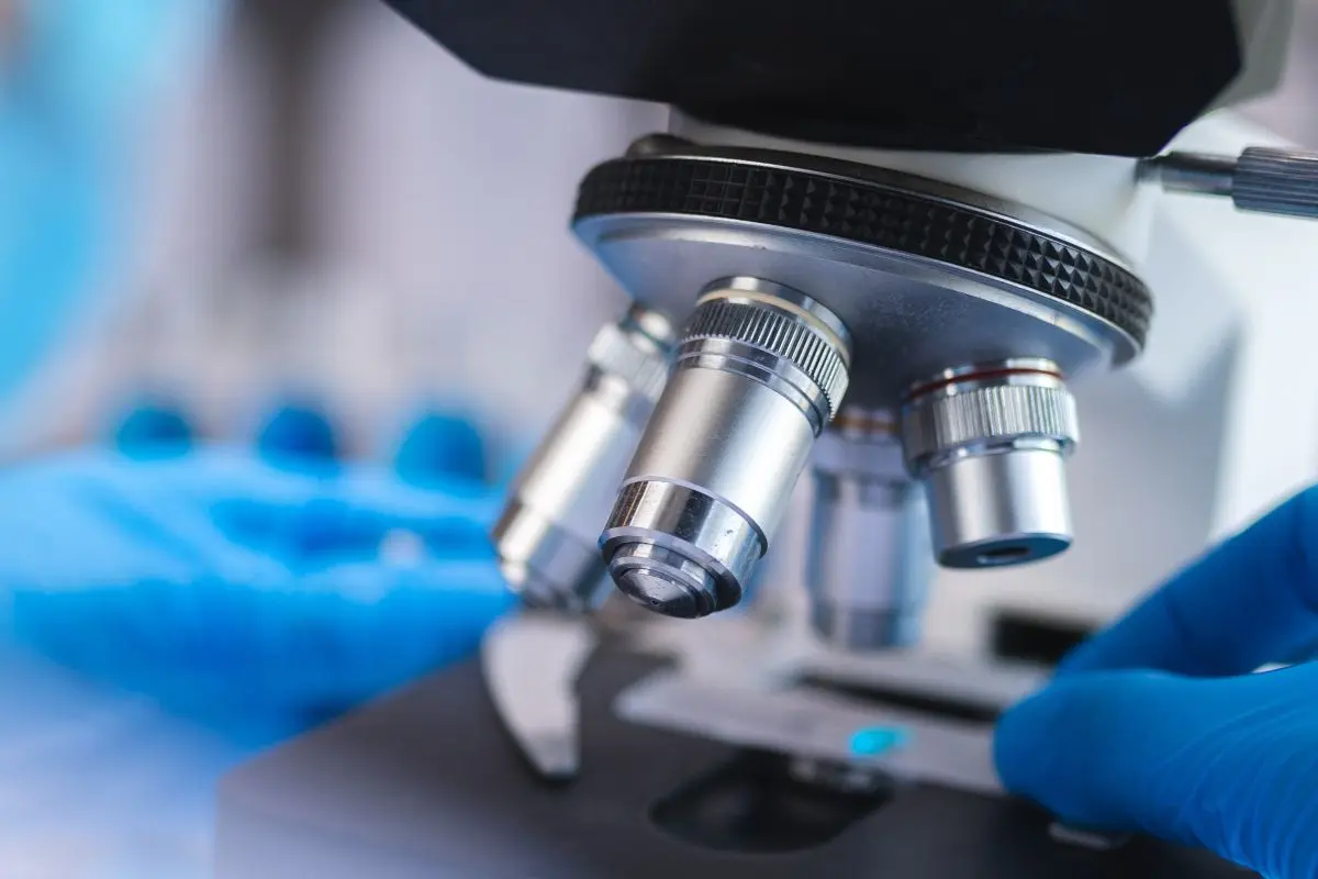 Hands in blue gloves placing slide under microscope