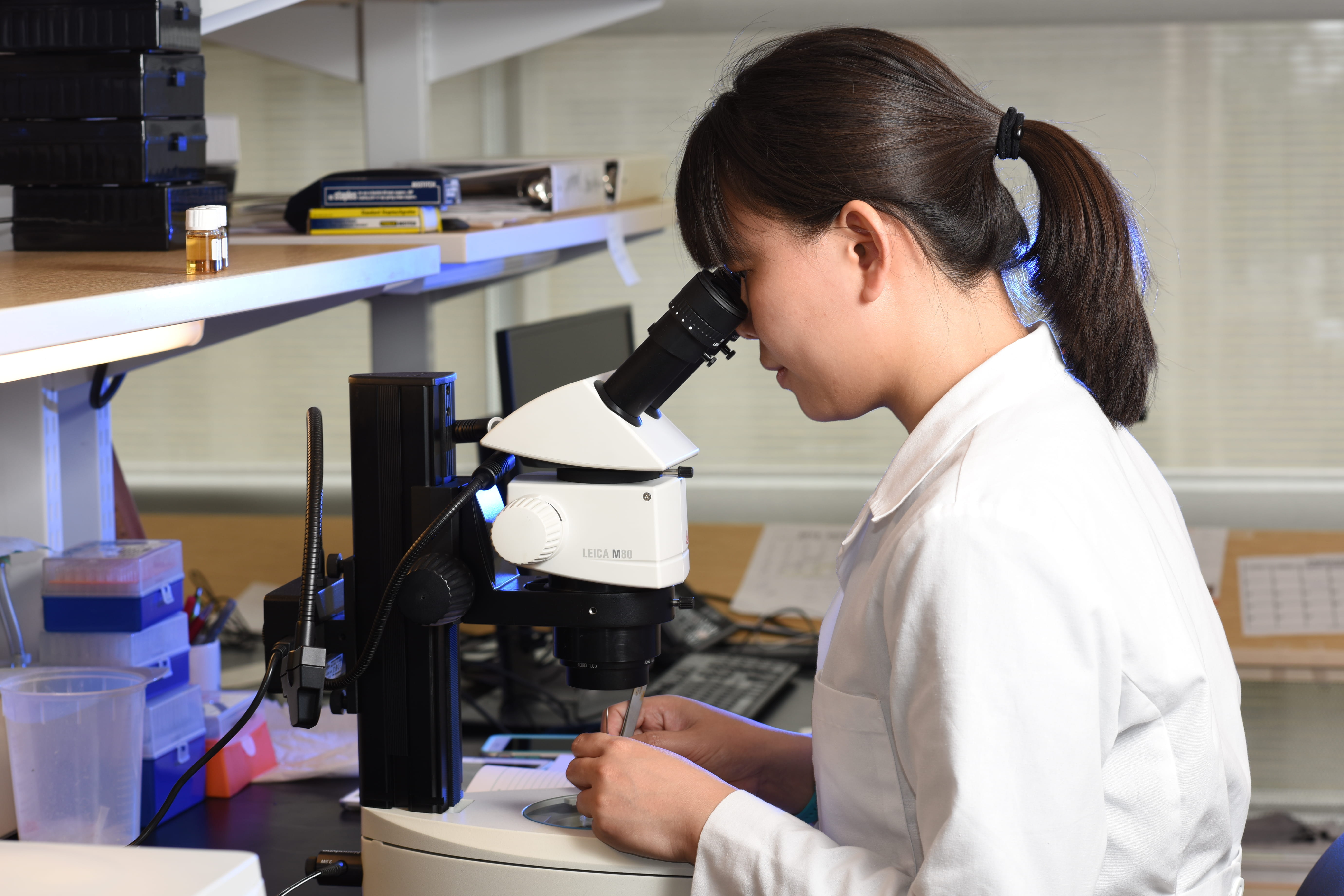 Dr. Zhao at work in the lab