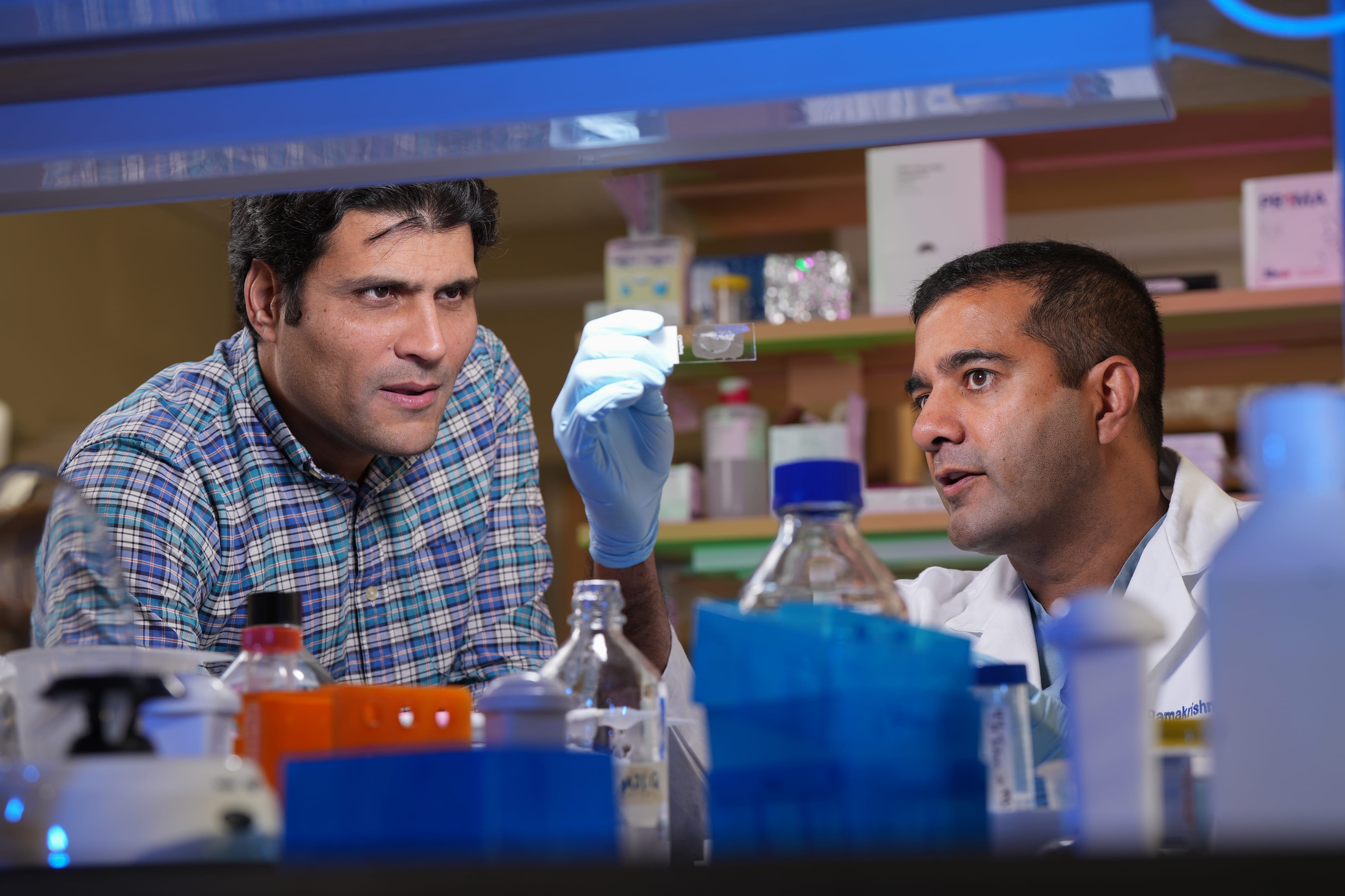 Researchers working in research lab