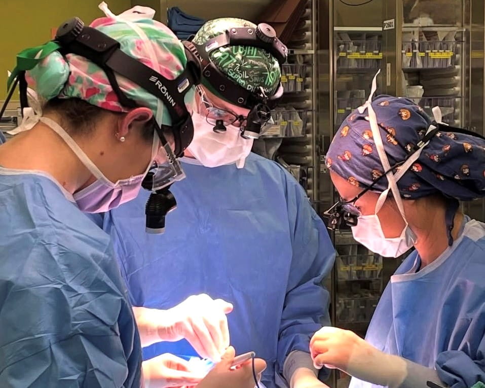 Surgeons in scrubs in operating room