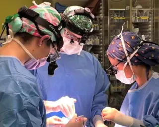 Department of Otolaryngology-Head and Neck Surgery