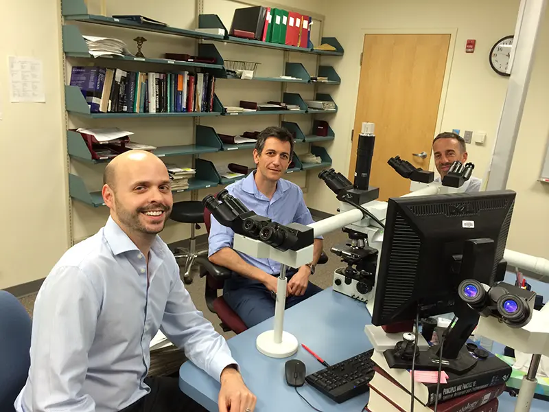 Three pathologists sit in front of their microscopes