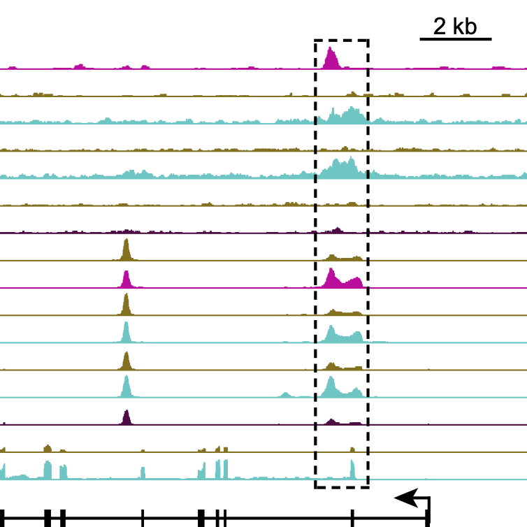 data from the lab shown in multicolored lines